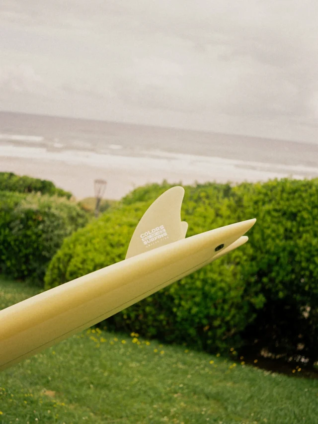 Sidecut fish 5'8 | Colors of Surfing